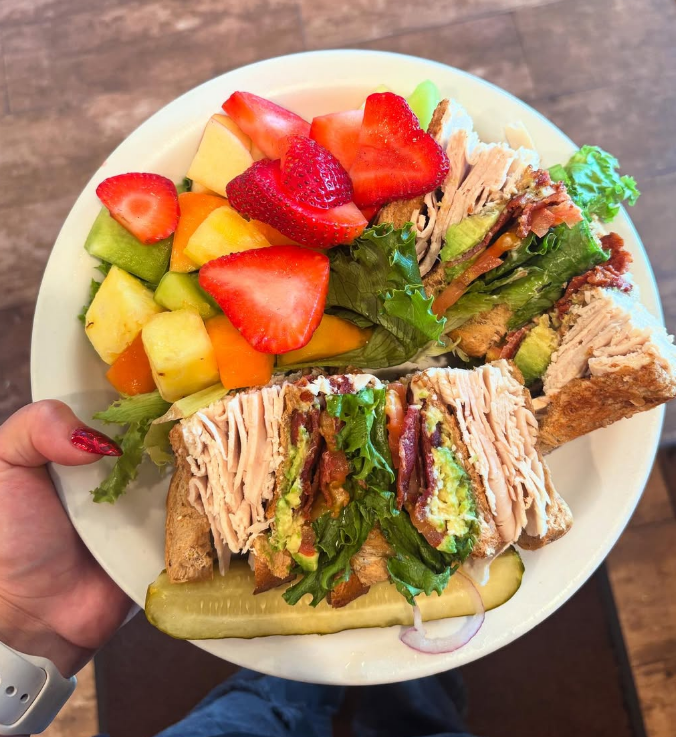 Fresh sandwich and fruit